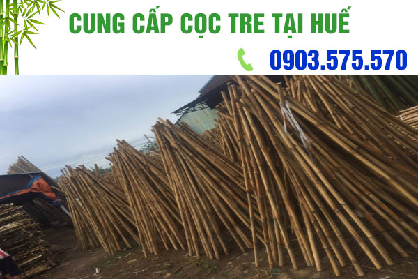 Cọc Tre Giá Rẻ Chất Lượng Huế